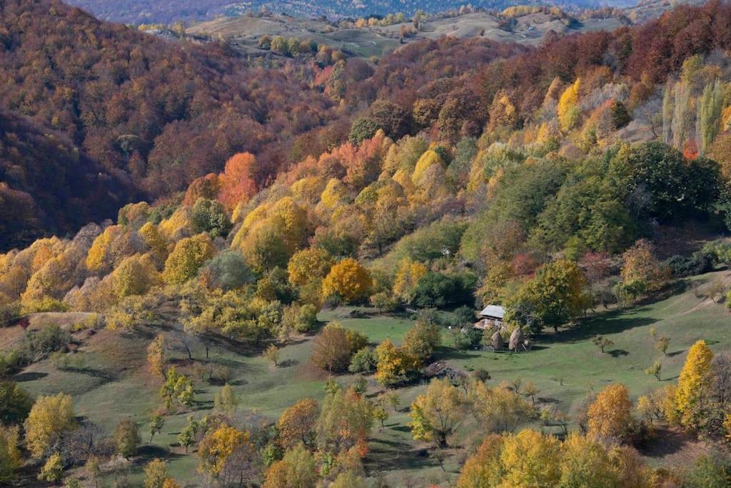 Valley View Breaza Esterno foto