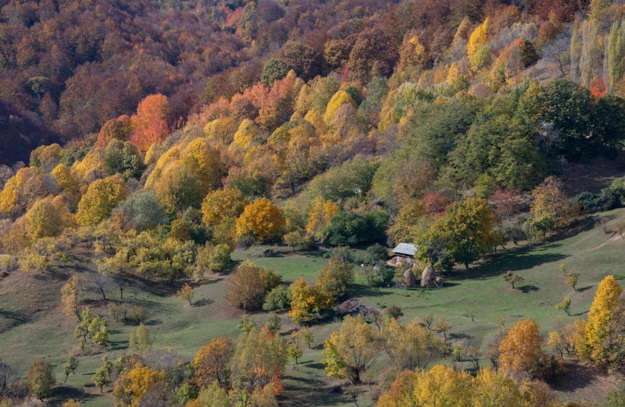 Valley View Breaza Esterno foto